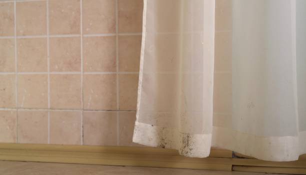 Best Environmental Consulting for Mold Prevention  in Richfield, MN