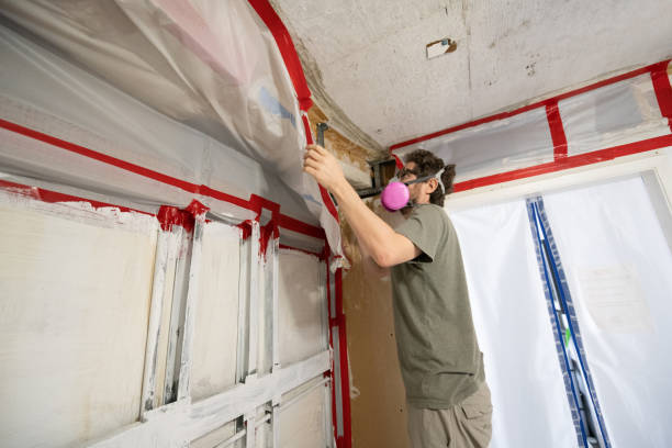 Mold Remediation for Rental Properties in Richfield, MN