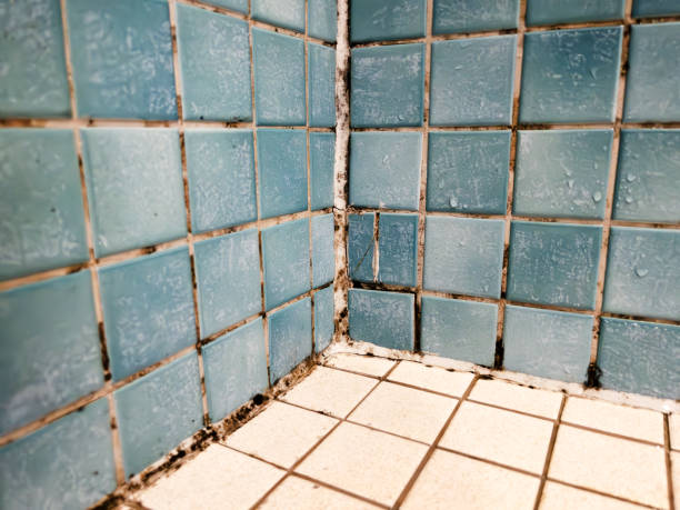 Best Air Quality Testing for Mold Spores  in Richfield, MN