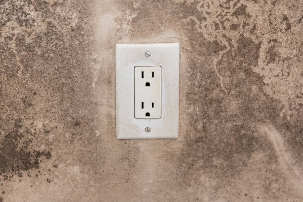 Best Mold Removal for HVAC Installations  in Richfield, MN